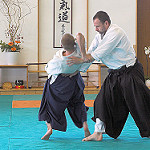 Immagine di 2 combattenti che eseguono una tecnica di Aikido